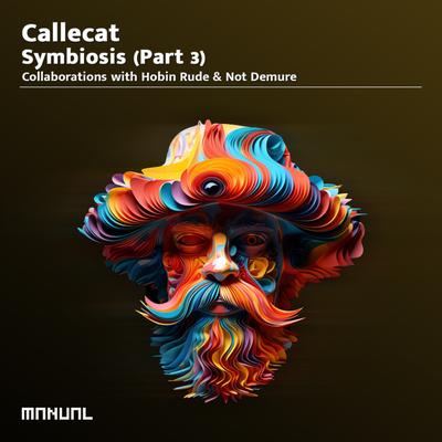 Recurring Phases By Callecat, Not Demure's cover