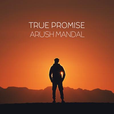 True Promise's cover