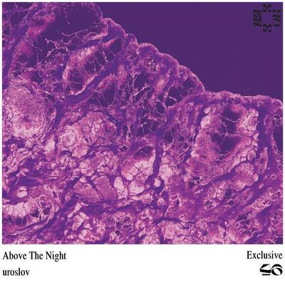 Above the Night By uroslov's cover