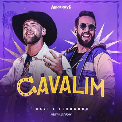 Cavalim (Agro Rave, Ao Vivo) By Davi e Fernando's cover