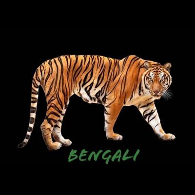 Bengali's cover