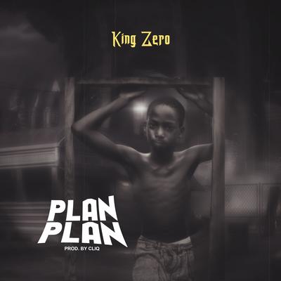 Plan Plan's cover