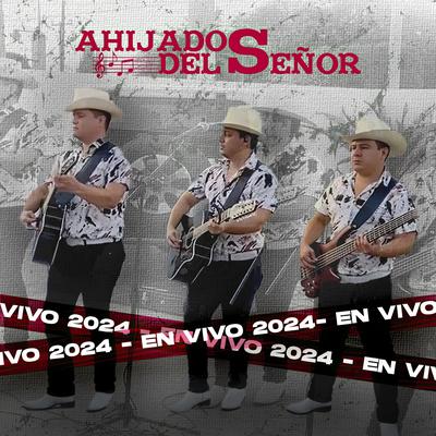 Al Toro por los Cuernos (En Vivo)'s cover