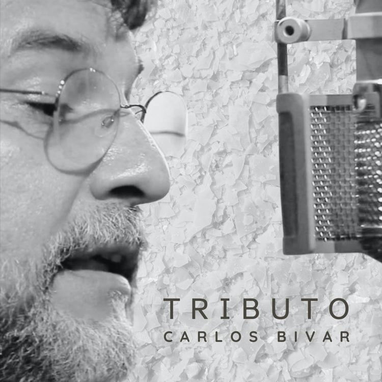 Carlos Bivar's avatar image