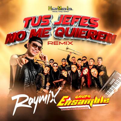 Tus Jefes No Me Quieren (Remix)'s cover