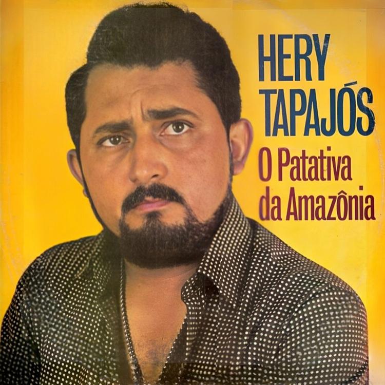 Hery Tapajós's avatar image