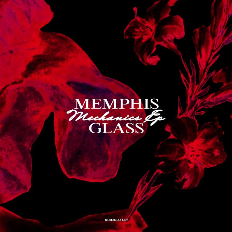 Memphis Glass's avatar image