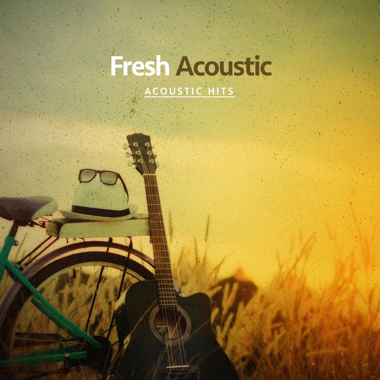 Acoustic Hits's avatar image