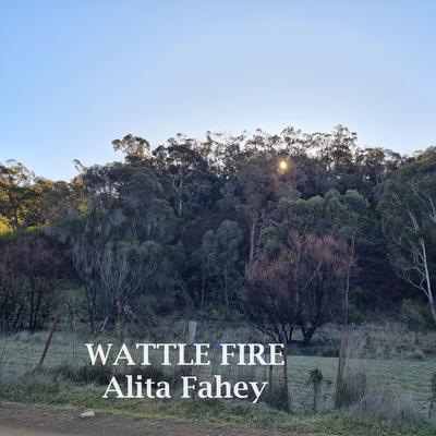 Wattle Fire By Alita Fahey's cover