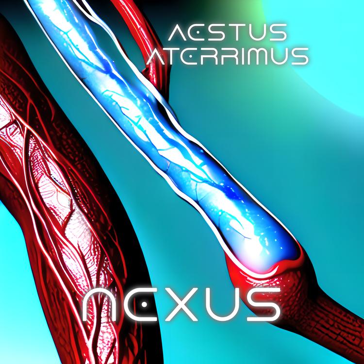 Aestus Aterrimus's avatar image