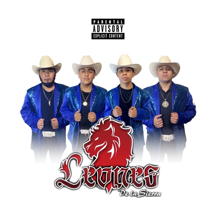 Leones De La Sierra's avatar image