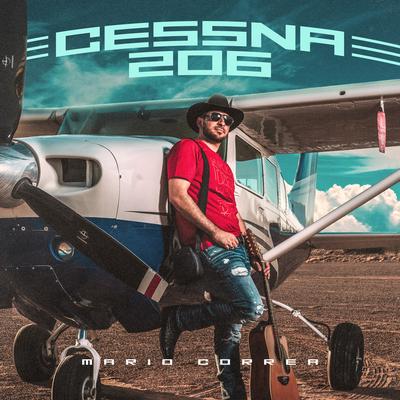 Cessna 206's cover