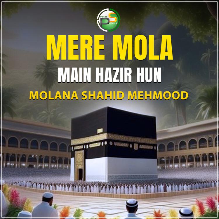 Molana Shahid Mehmood's avatar image