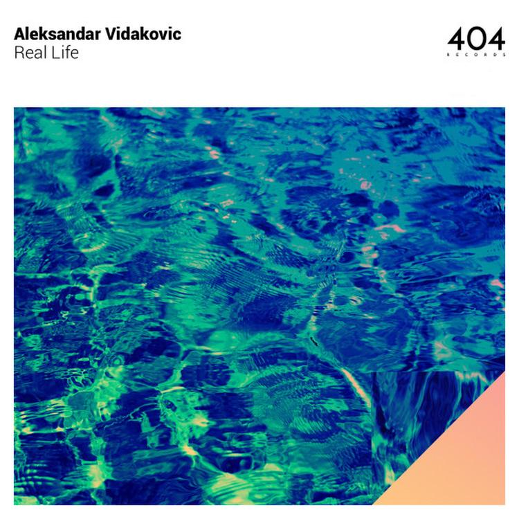 Aleksandar Vidakovic's avatar image