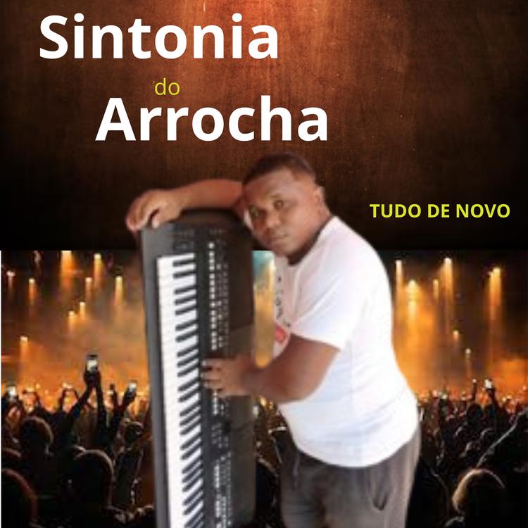 Sintonia do Arrocha's avatar image