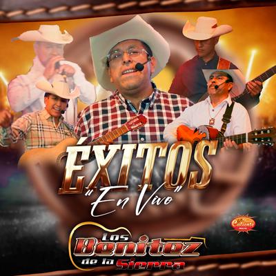 Éxitos en Vivo's cover