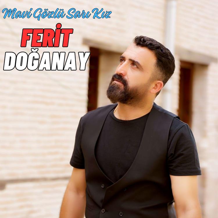 Ferit Doğanay's avatar image