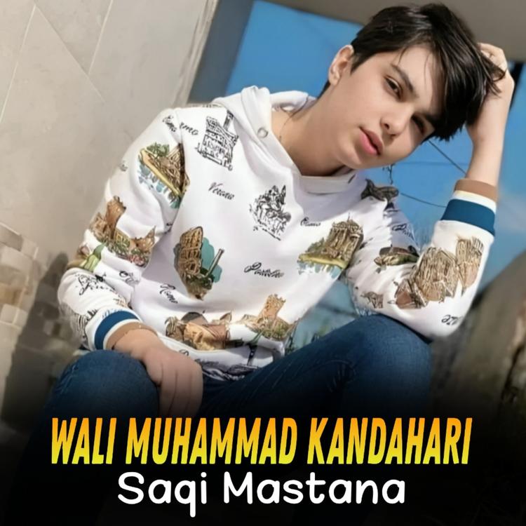 Wali Muhammad Kandahari's avatar image