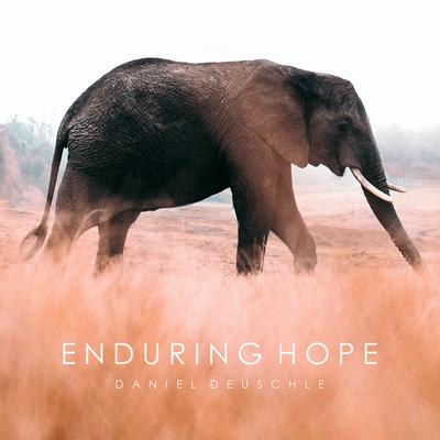 Enduring Hope's cover