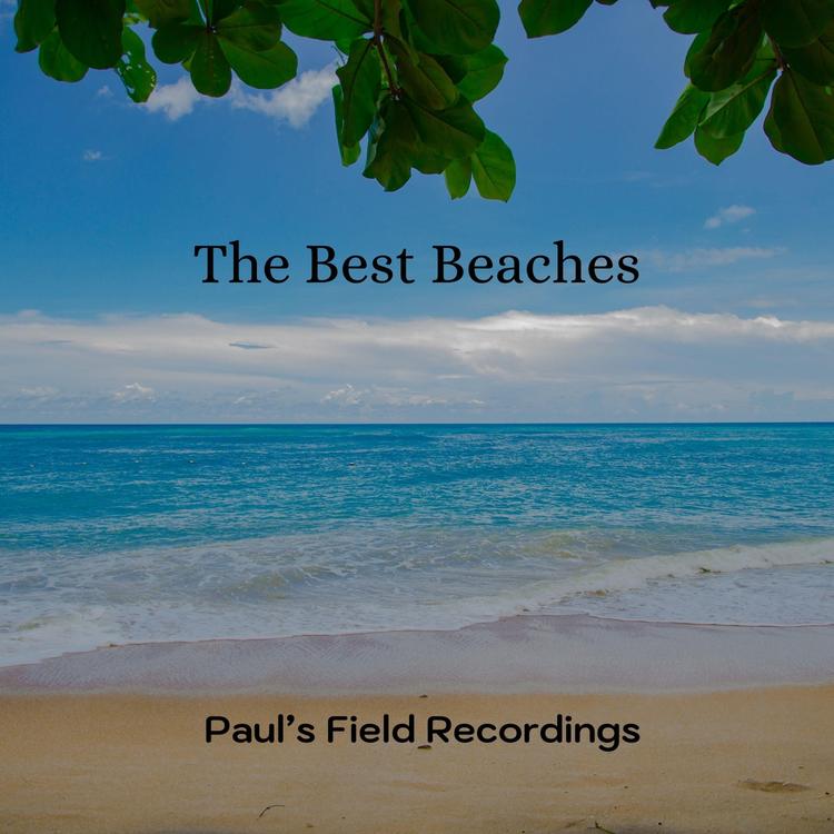 Paul's Field Recordings's avatar image