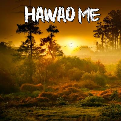 Hawao me's cover