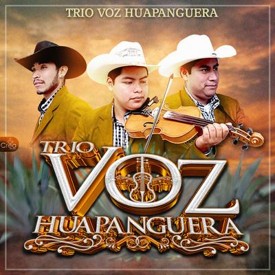 Huapangos y Algo Mas (En Vivo)'s cover