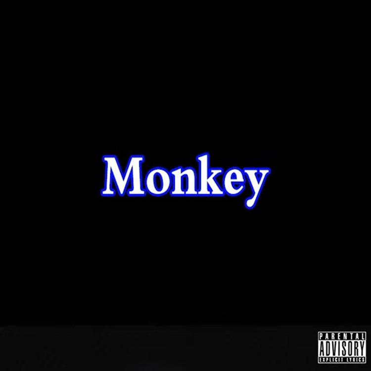 Monkey's avatar image