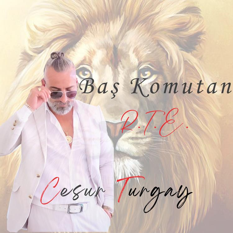 Cesur Turgay's avatar image