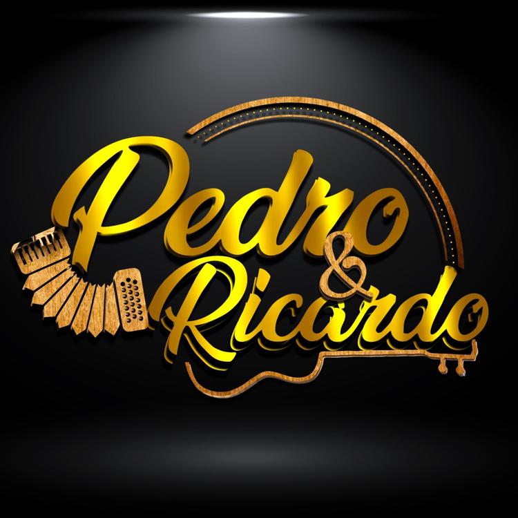 PEDRO E RICARDO's avatar image