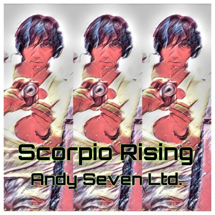 Andy Seven Ltd.'s avatar image