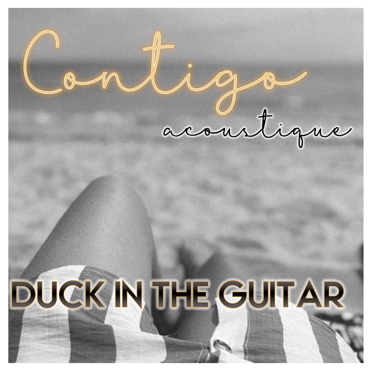 Duck in the guitar's avatar image