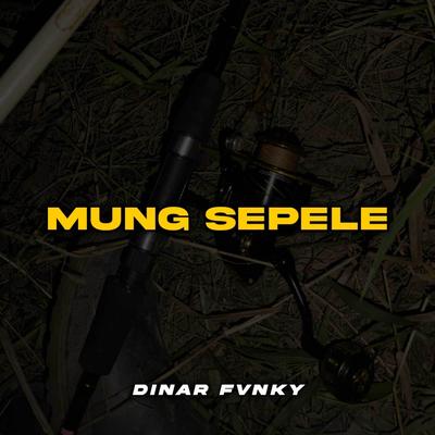 Dinar Fvnky's cover