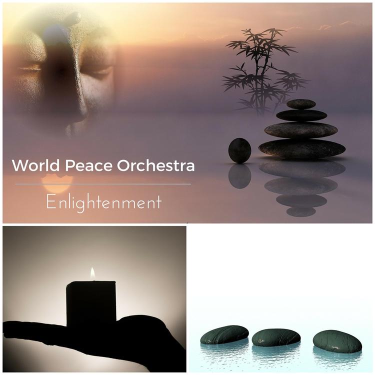 World Peace Orchestra's avatar image