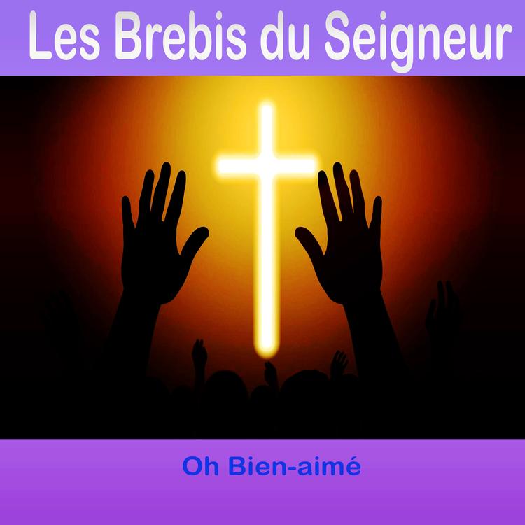 Les Brebis du Seigneur's avatar image