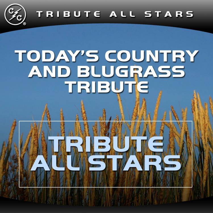 Country Tribute Players's avatar image