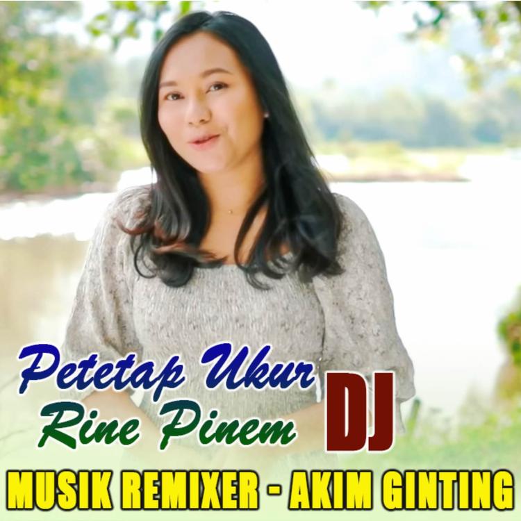 Rina Pinem's avatar image