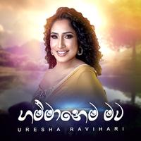 Uresha Ravihari's avatar cover