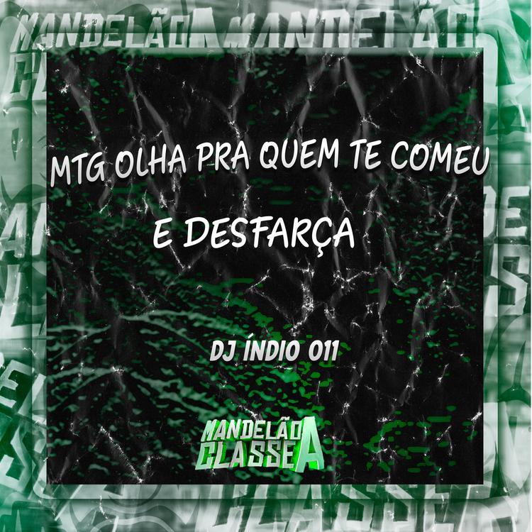 DJ índio 011's avatar image
