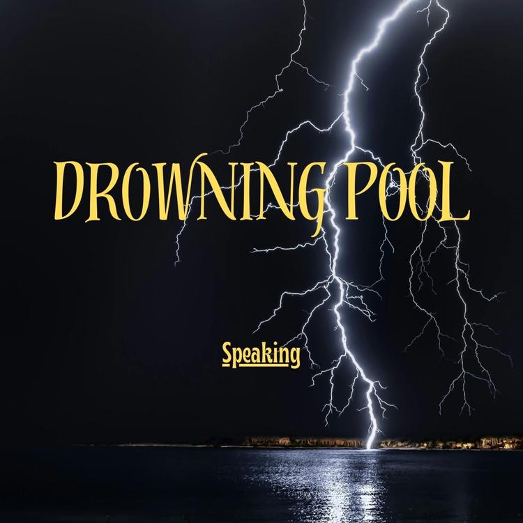 Drowning Pool's avatar image