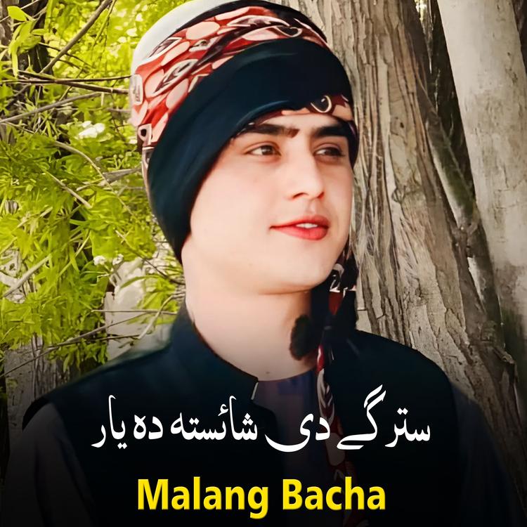 Malang Bacha's avatar image