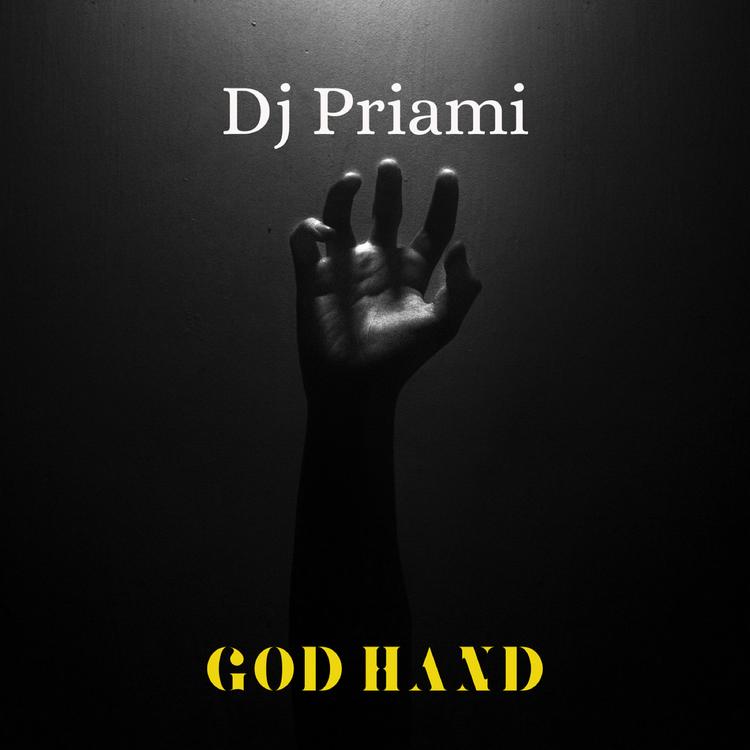 Dj Priami's avatar image