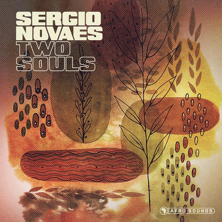 Sergio Novaes's avatar image