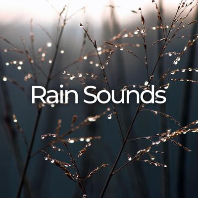 Calming Rain Sounds's cover