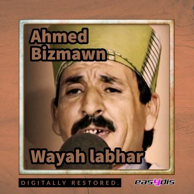 Ahmed Bizmawn's cover