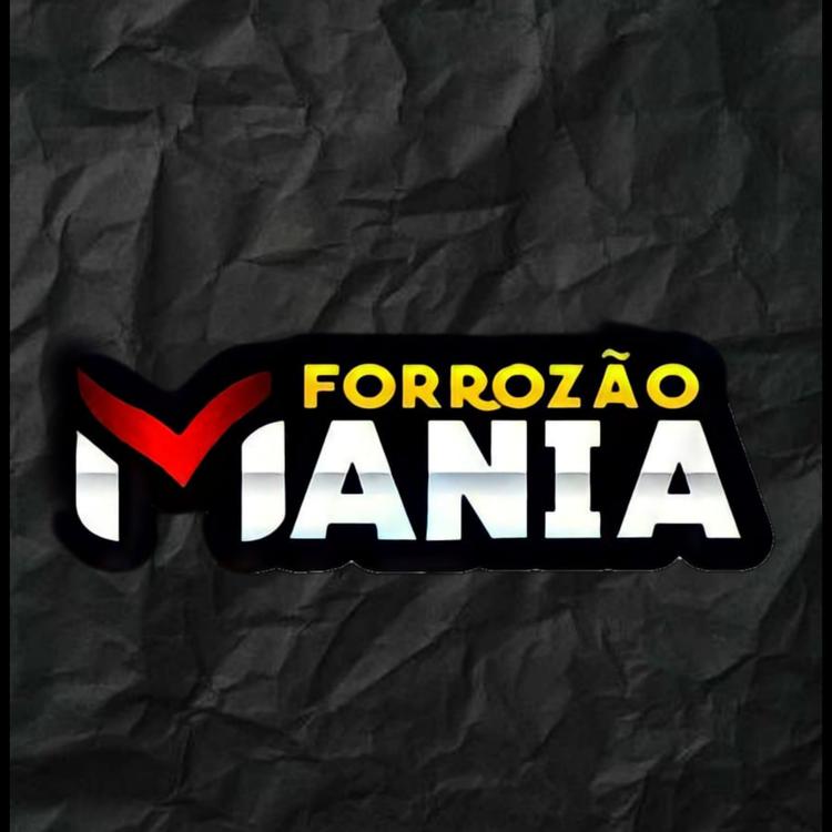 FORROZÃO MANIA's avatar image