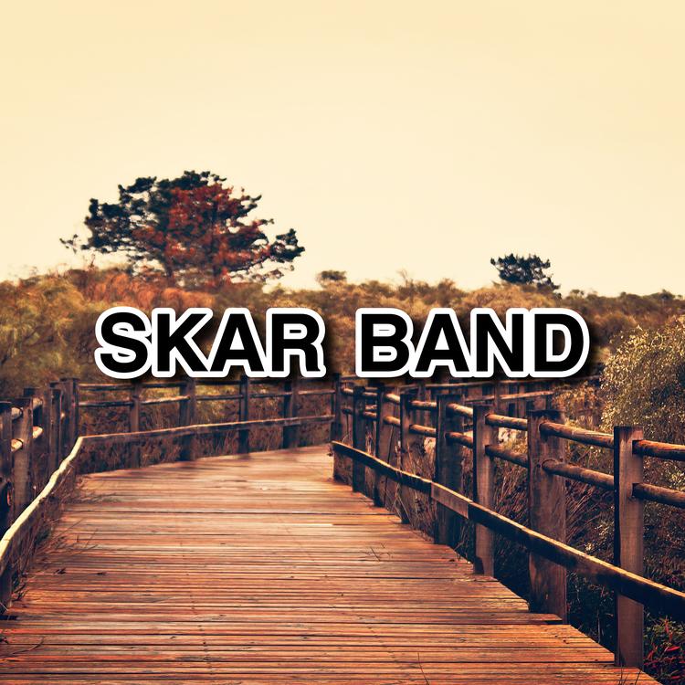 skar band's avatar image