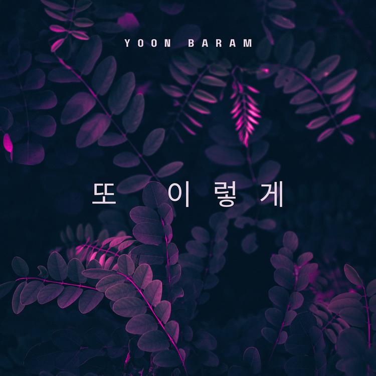 Yoon Baram's avatar image