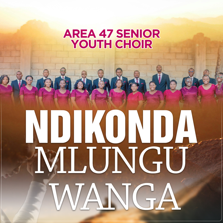 Area 47 SDA Youth Choir's avatar image