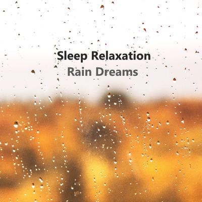 Rain Sleep's cover