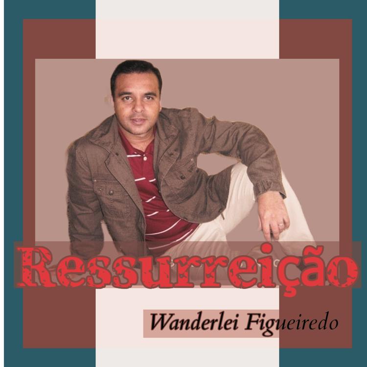 Wanderlei Figueiredo's avatar image